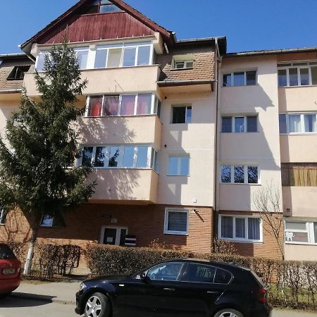 Studio Acasa Сибиу Экстерьер фото