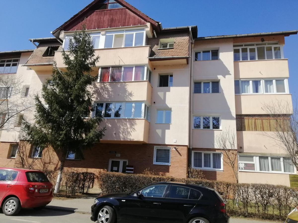 Studio Acasa Сибиу Экстерьер фото